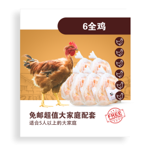 6全鸡
